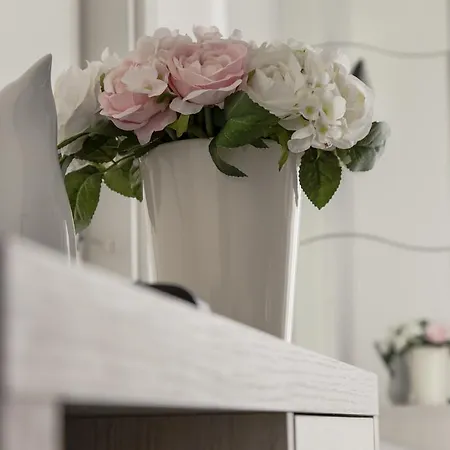 Concorde Bellaria-Igea Marina