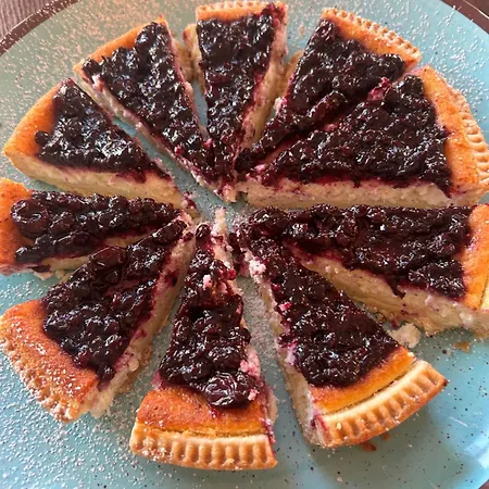 Concorde Hotel Bellaria-Igea Marina