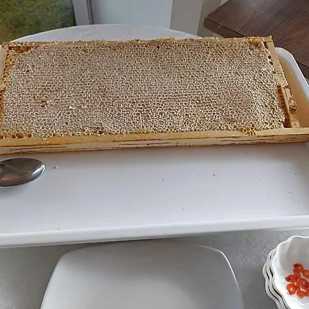 Szálloda Concorde 3*